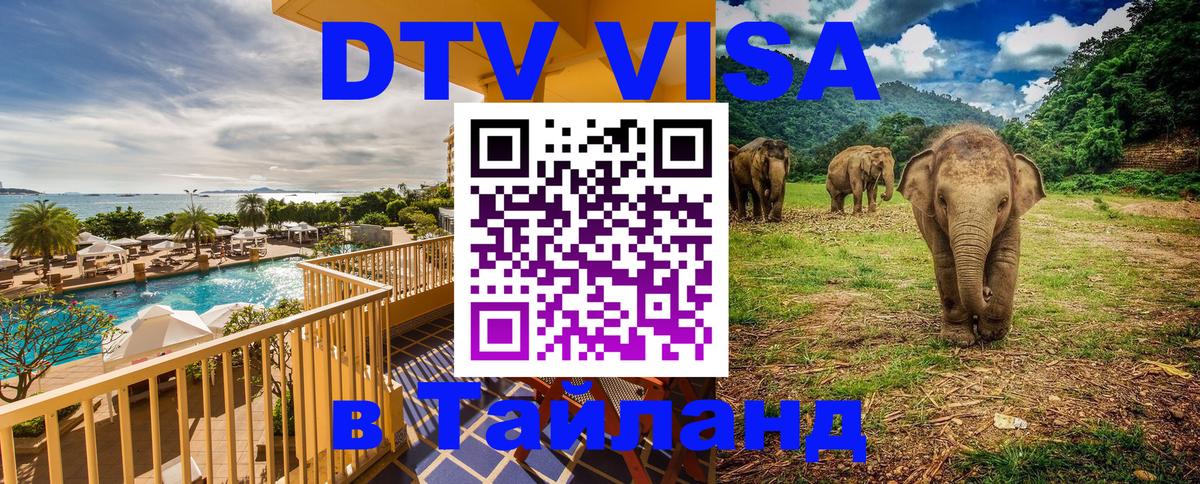 Сколько стоит DTV виза — актуальные цены, оформление даже без документов - Маскат 